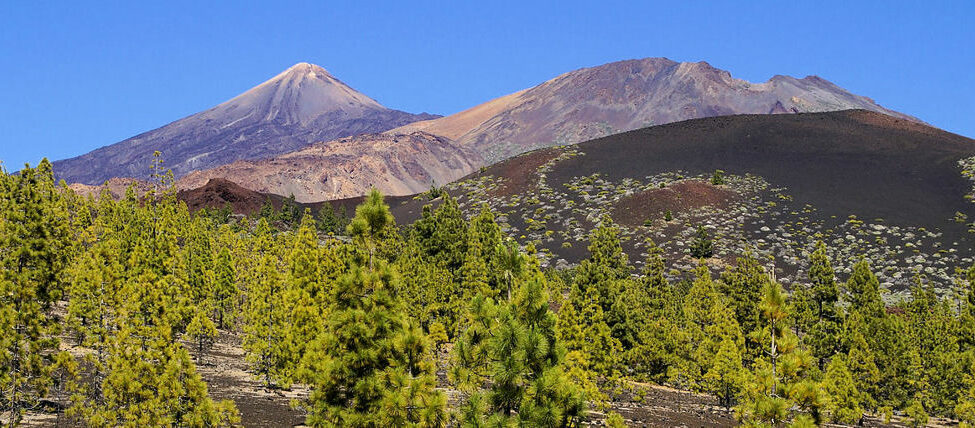 Teide Nemzeti Park